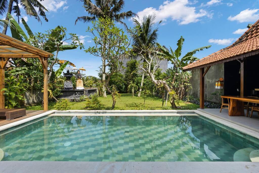 New 4 Bedroom Villa Surrounded By Jungle And Ricefields Ubud  Ngoại thất bức ảnh
