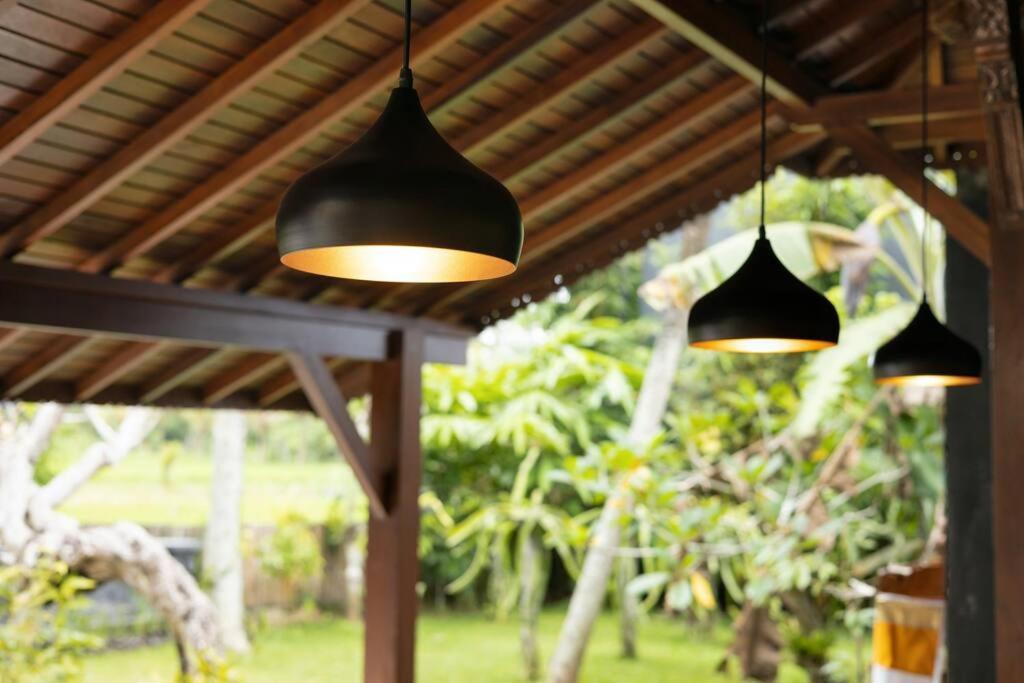 New 4 Bedroom Villa Surrounded By Jungle And Ricefields Ubud  Ngoại thất bức ảnh