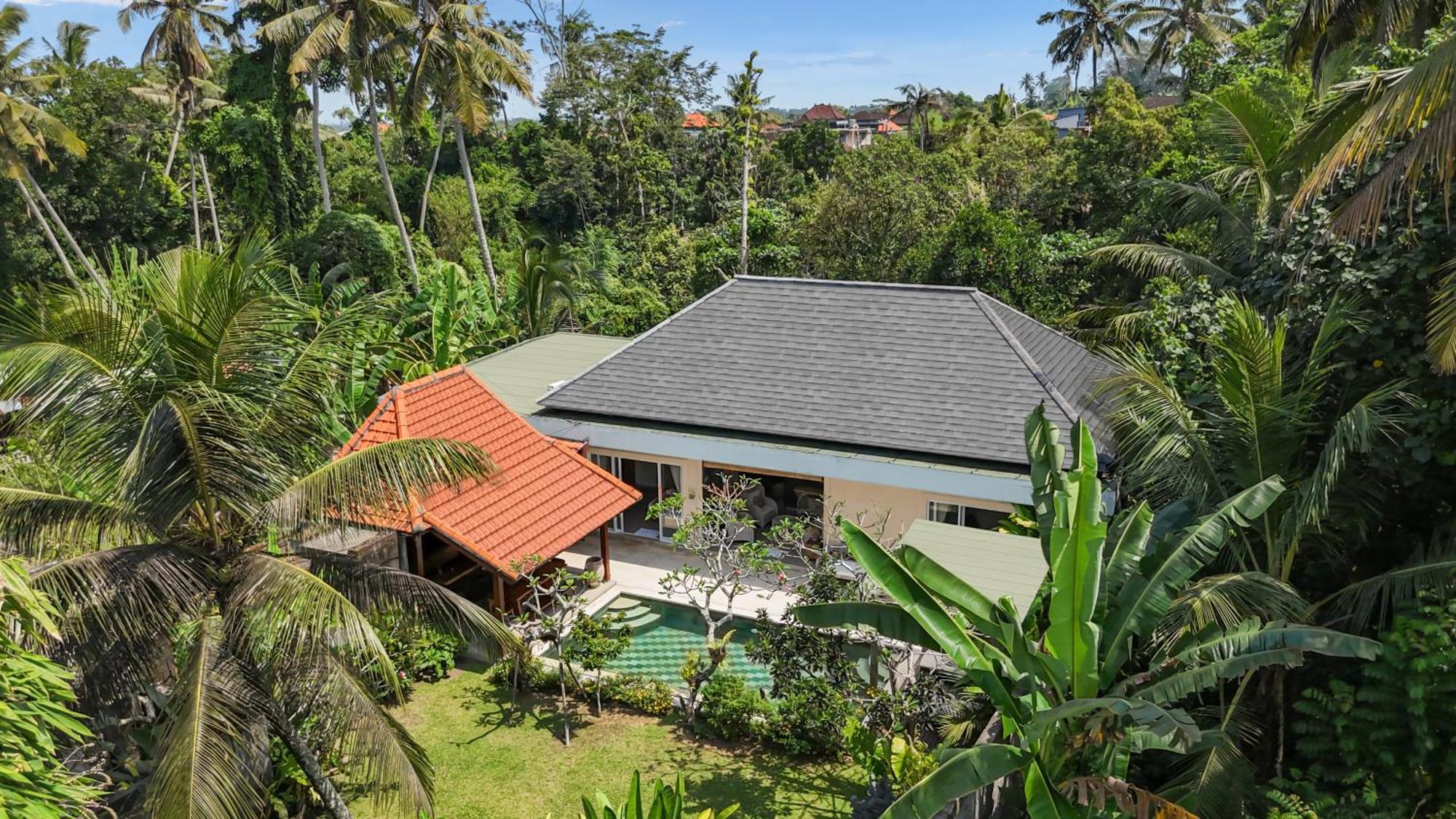 New 4 Bedroom Villa Surrounded By Jungle And Ricefields Ubud  Ngoại thất bức ảnh